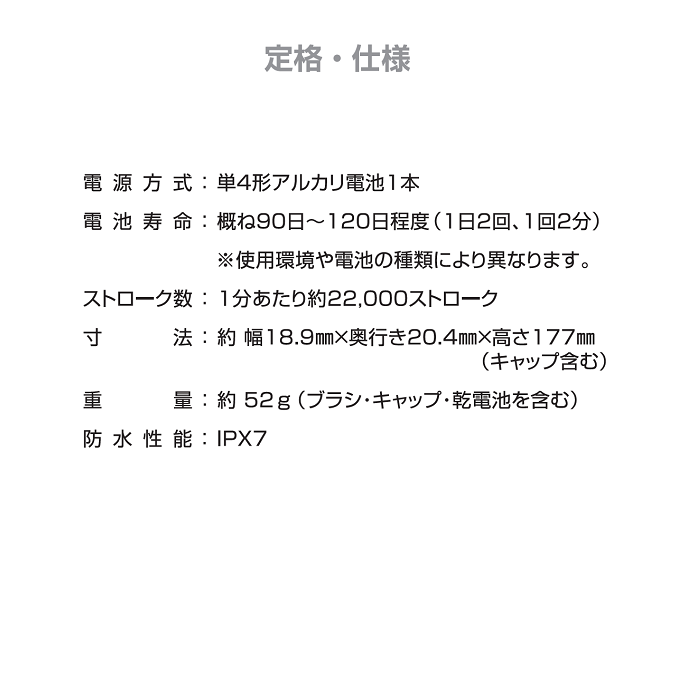 IONPA DM-021 携帯用 音波振動歯ブラシ イオンパ 本体