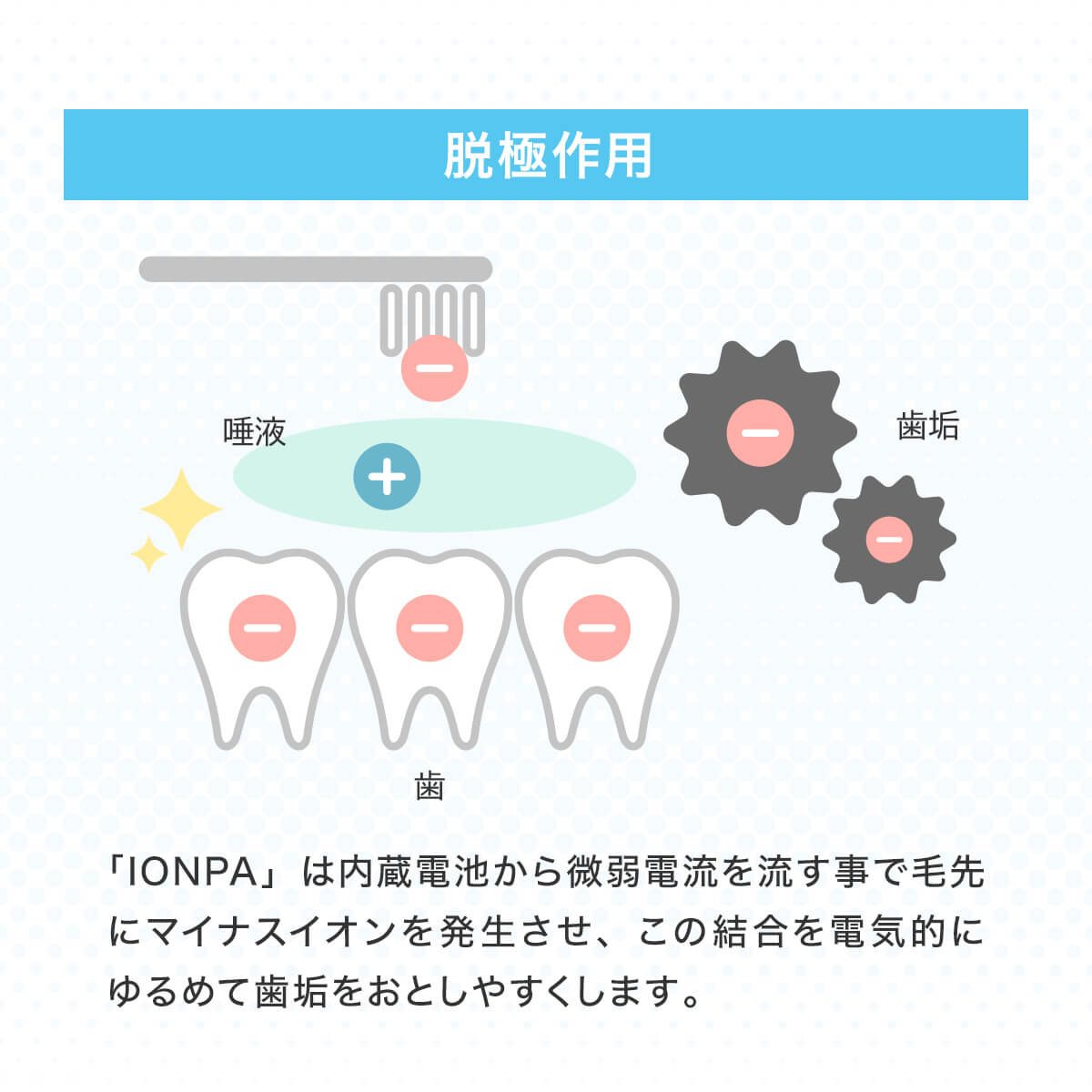 files/ionic_brand_IONPA_home_DP-121_10.jpg